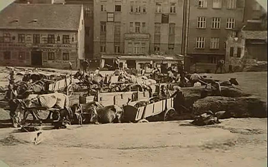 Dolac. Gradilište buduće tržnice 1927. godine